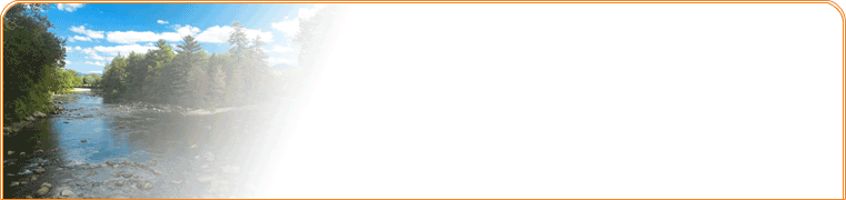 latest special offers from Top Notch Vacations latest special off image